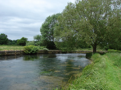 River Test Broadlands